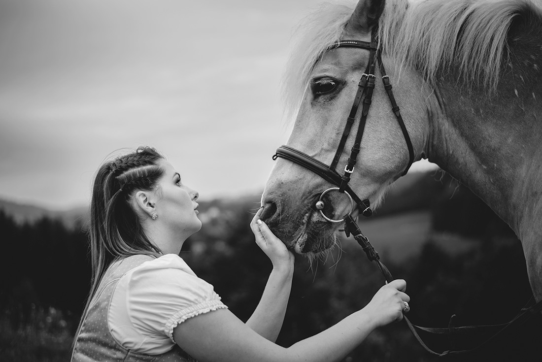 Mensch & Pferd