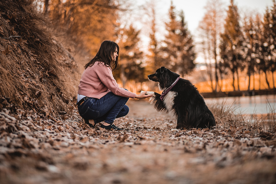 Hundefotografie Oberösterreich