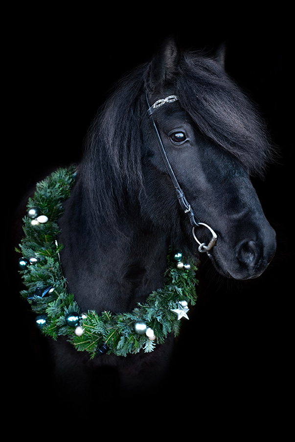 Pferd mit Weihnachtskranz