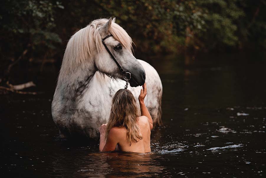 Pferd schwimmt mit Reiterin