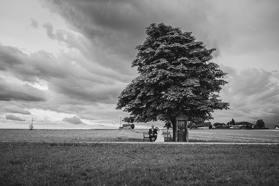 Brautpaar auf Bank mit Baum